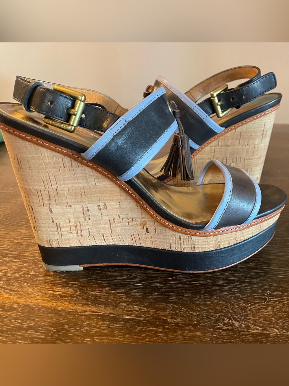 Coach Navy Blue and Light Blue Wedge Sandals size 7